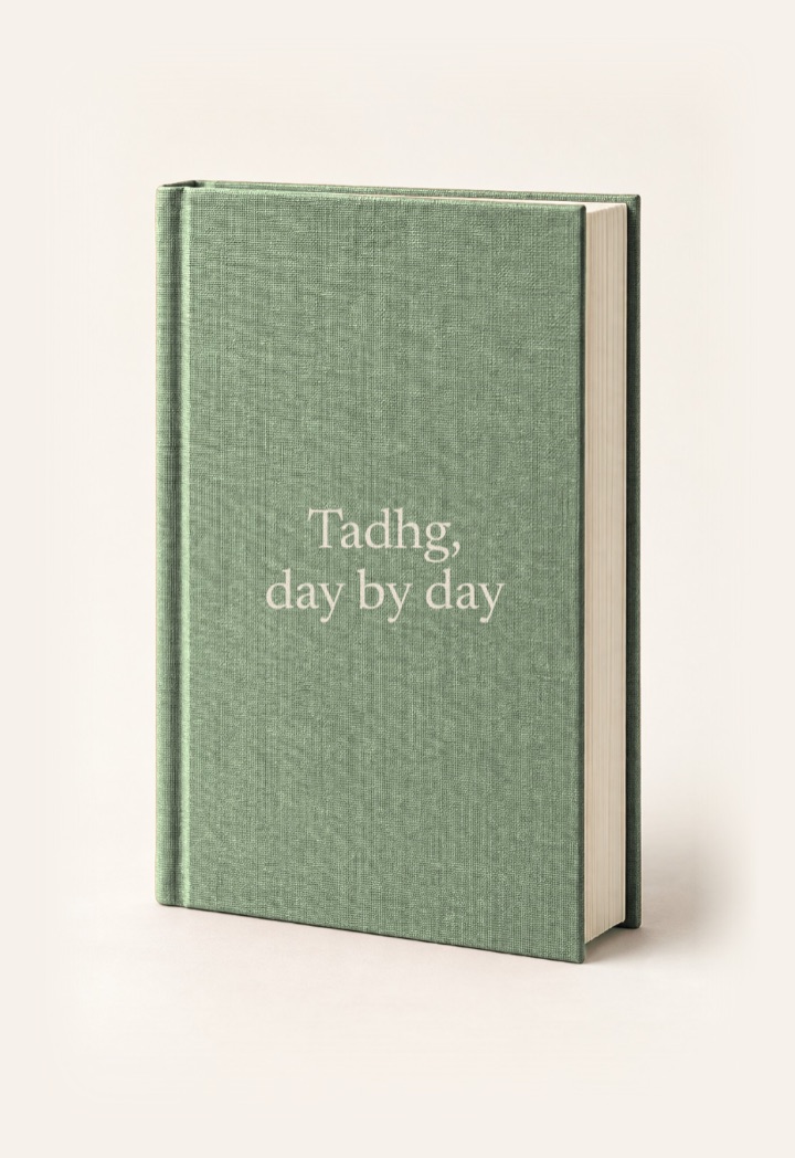 The cover of Tadhg, day by day, a hardcover in Sage with its title on the front.