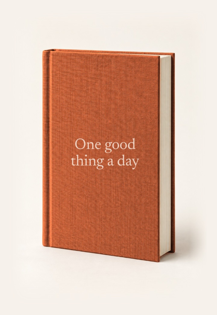 The cover of One good thing a day, a hardcover in Burnt orange with its title on the front.