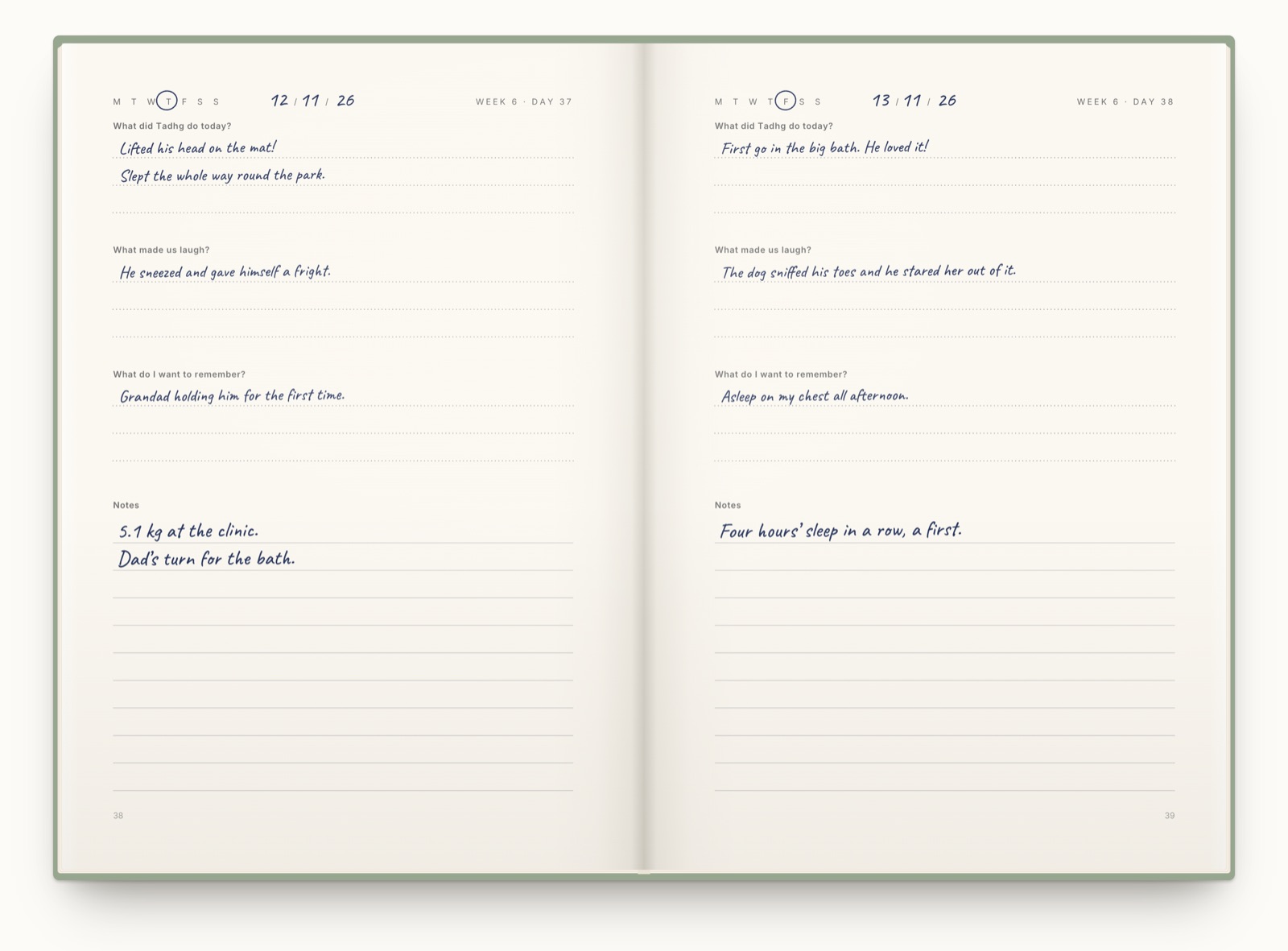 One page of a journal called Tadhg, day by day. Under What did Tadhg do today? somebody has written Lifted his head on the mat! Under What made us laugh?, He sneezed and gave himself a fright.