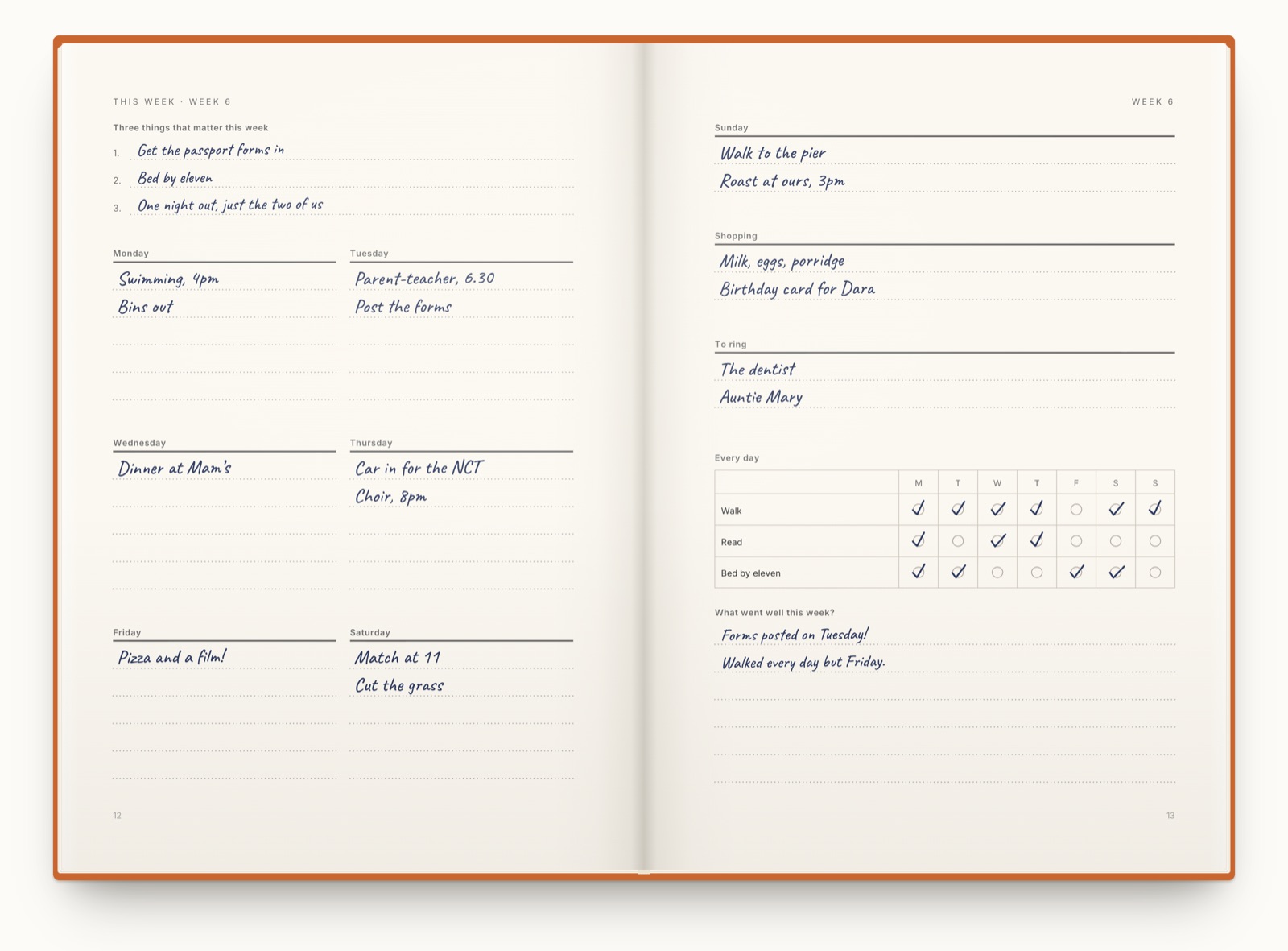 One page of a journal called The family week. Three things that matter this week are written at the top, and under them a box for each day from Monday to Saturday holds swimming, a parent-teacher meeting, dinner at Mam’s and a match.